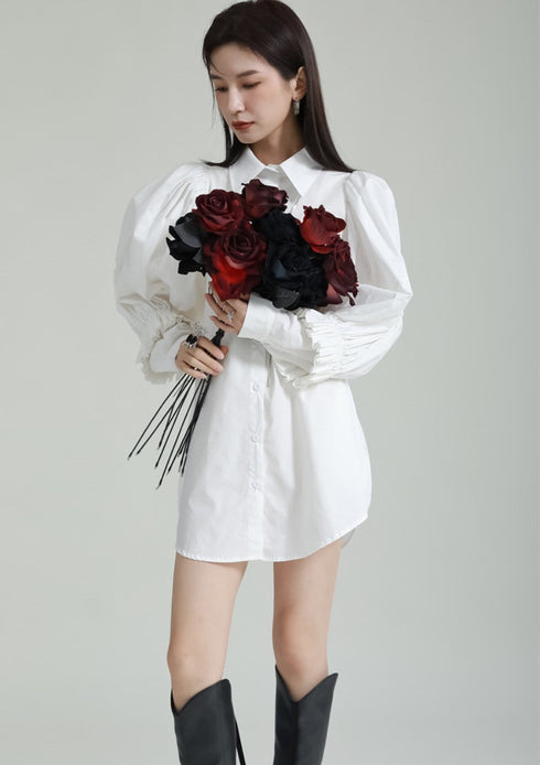 プリーツロングシャツ/ブラウス パフスリーブ ランタンスリーブ /レディース モレビー|モード系ファッションブランド